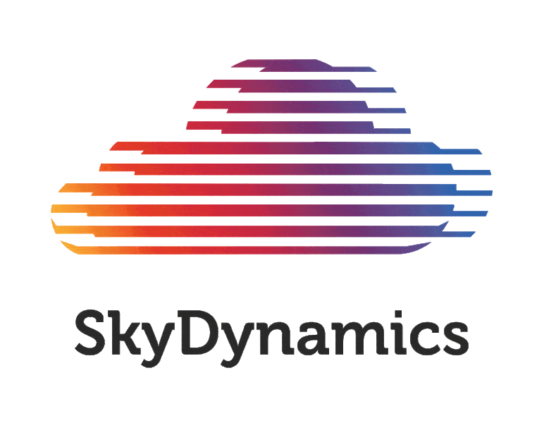 Что предлагают профессионалы в Пензе | SkyDynamics